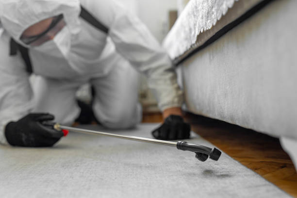 Professional Termite Control technician working in Vancouver, WA