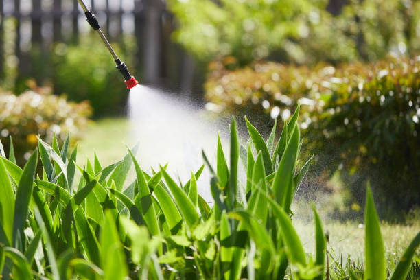 24/7 Emergency Termite Control experts in Vancouver, WA